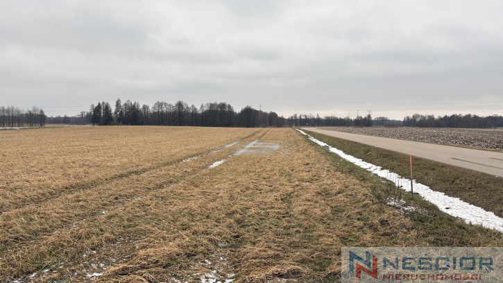 Parcela Venta Wiśniew Ogrodowa 5