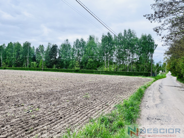Parcela Venta Teodorów 6