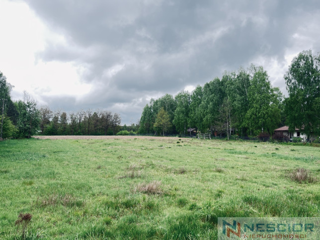 Parcela Venta Teodorów 10