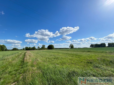 Plot Sale Kownaciska