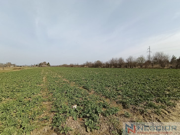 Plot Sale Stok Lacki