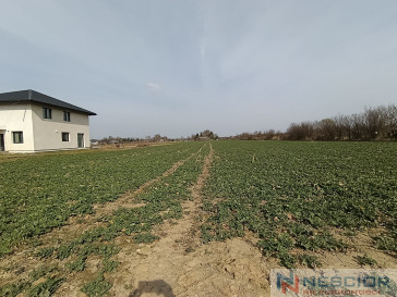 Plot Sale Stok Lacki