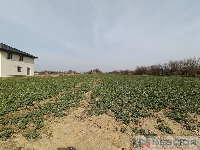 Plot Sale Stok Lacki 6