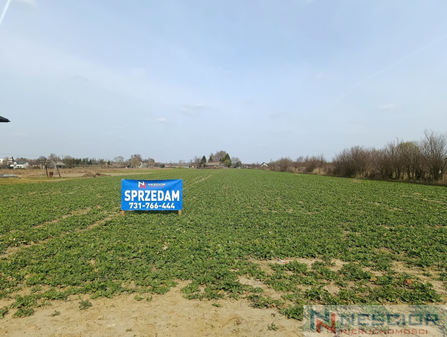 Plot Sale Stok Lacki 9