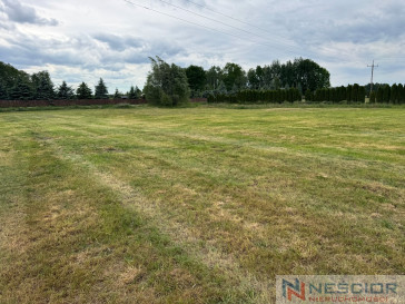 Plot Sale Śmiary-Kolonia