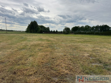 Plot Sale Śmiary-Kolonia