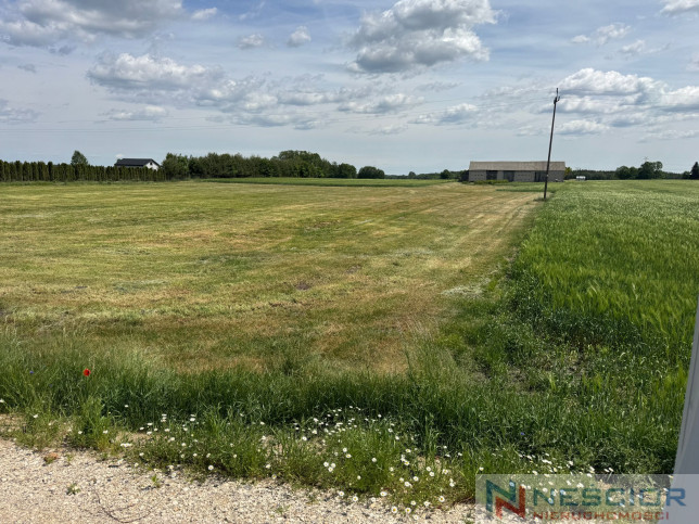 Plot Sale Śmiary-Kolonia 6