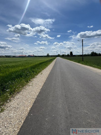 Plot Sale Śmiary-Kolonia