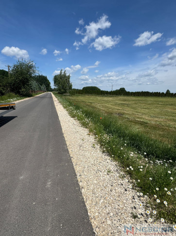Plot Sale Śmiary-Kolonia 8