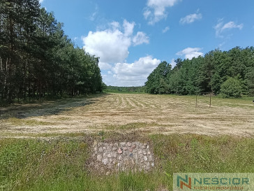 Участок Продажа Błogoszcz Dębowa