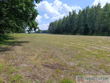 Участок Продажа Błogoszcz Dębowa