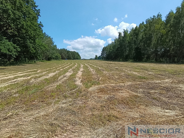 Działka Sprzedaż Błogoszcz Dębowa 6