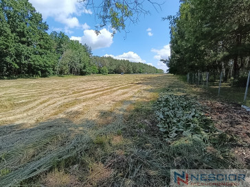 Участок Продажа Błogoszcz Dębowa