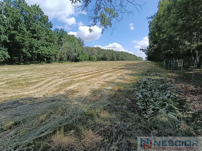 Działka Sprzedaż Błogoszcz Dębowa 8