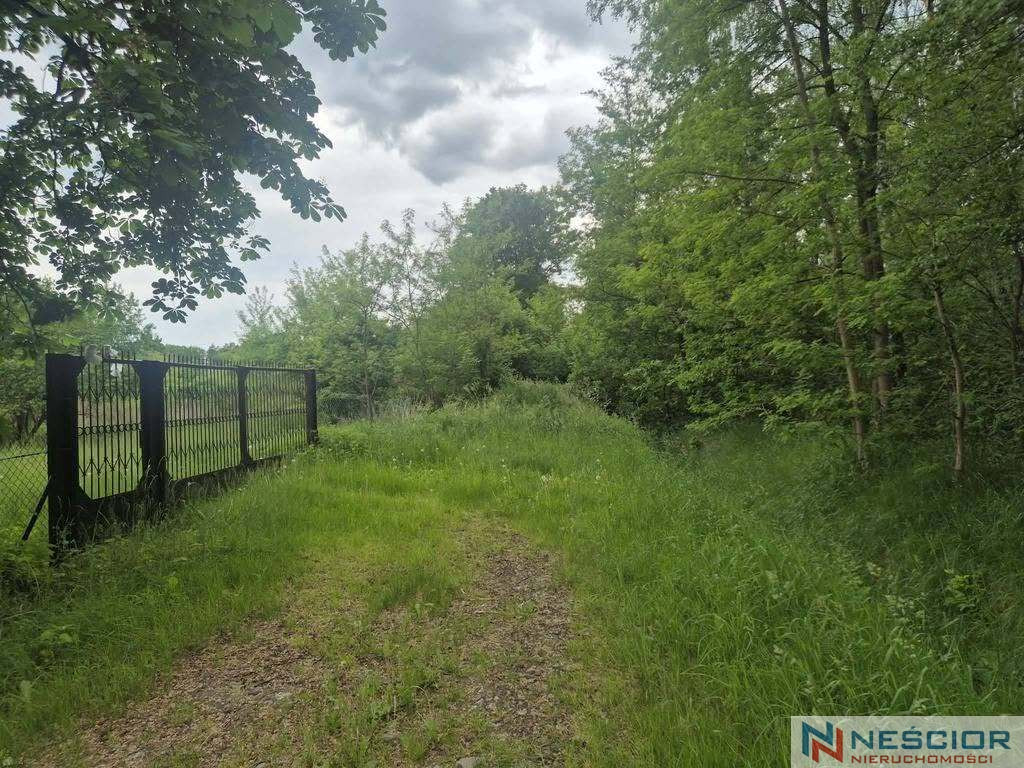 Plot Sale Nowe Osiny