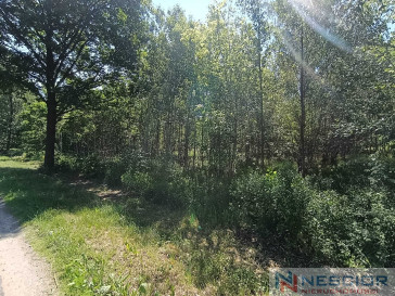 Plot Sale Gołąbek Osiedlowa