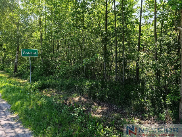 Plot Sale Gołąbek Osiedlowa 8