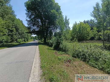 Plot Sale Gołąbek Osiedlowa
