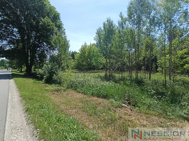 Plot Sale Gołąbek Osiedlowa 10