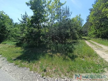 Plot Sale Gołąbek Osiedlowa