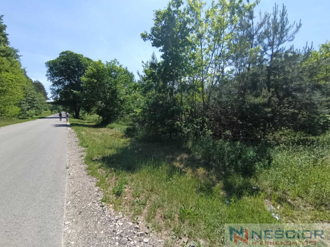 Plot Sale Gołąbek Osiedlowa 13
