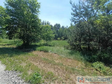 Plot Sale Gołąbek Osiedlowa