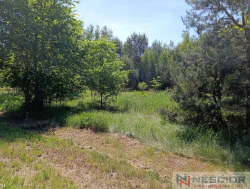 Plot Sale Gołąbek Osiedlowa
