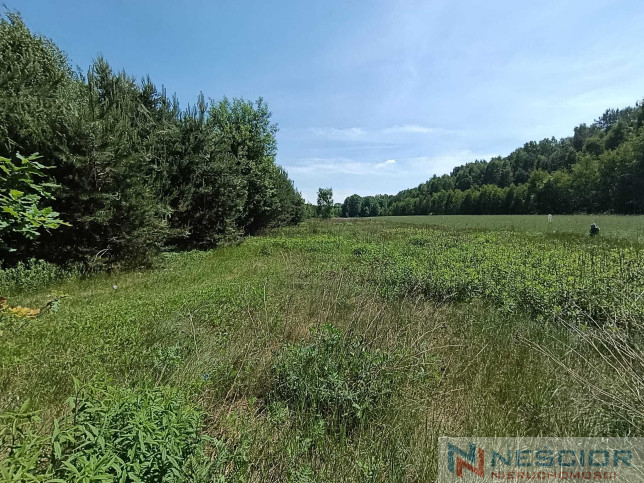 Plot Sale Gołąbek Osiedlowa 16