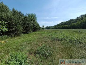 Plot Sale Gołąbek Osiedlowa