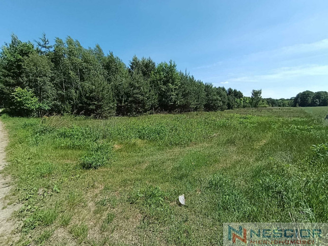 Plot Sale Gołąbek Osiedlowa 17