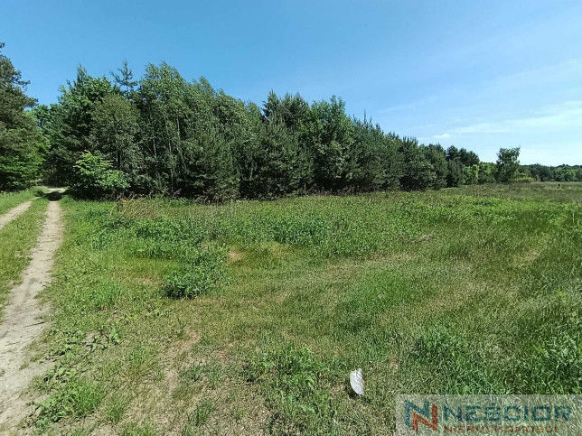 Plot Sale Gołąbek Osiedlowa 18
