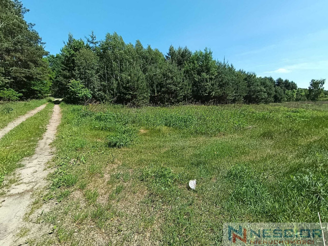 Plot Sale Gołąbek Osiedlowa 19