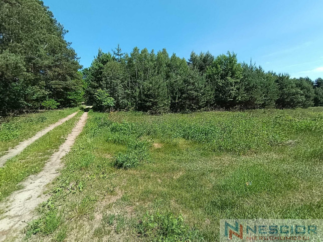 Plot Sale Gołąbek Osiedlowa 20