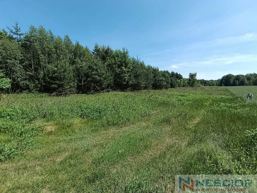 Plot Sale Gołąbek Osiedlowa