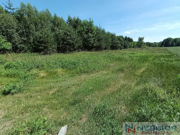 Plot Sale Gołąbek Osiedlowa