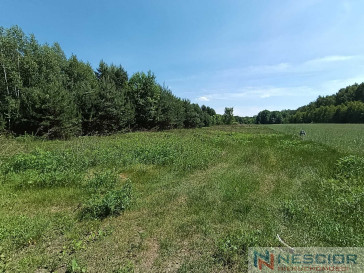 Plot Sale Gołąbek Osiedlowa