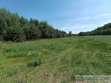 Plot Sale Gołąbek Osiedlowa