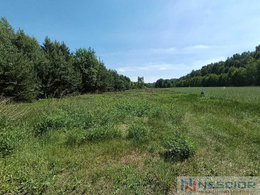 Plot Sale Gołąbek Osiedlowa