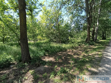 Plot Sale Gołąbek Osiedlowa