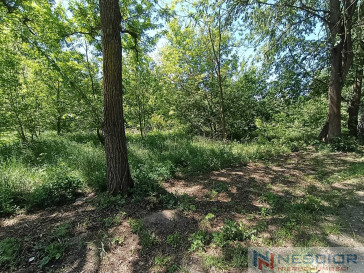 Plot Sale Gołąbek Osiedlowa