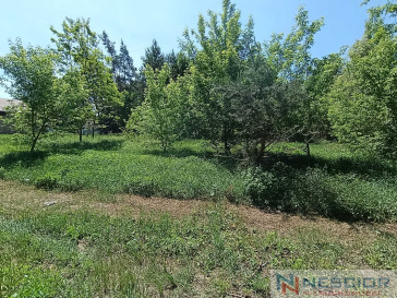 Plot Sale Gołąbek Osiedlowa