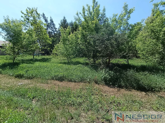 Plot Sale Gołąbek Osiedlowa 30