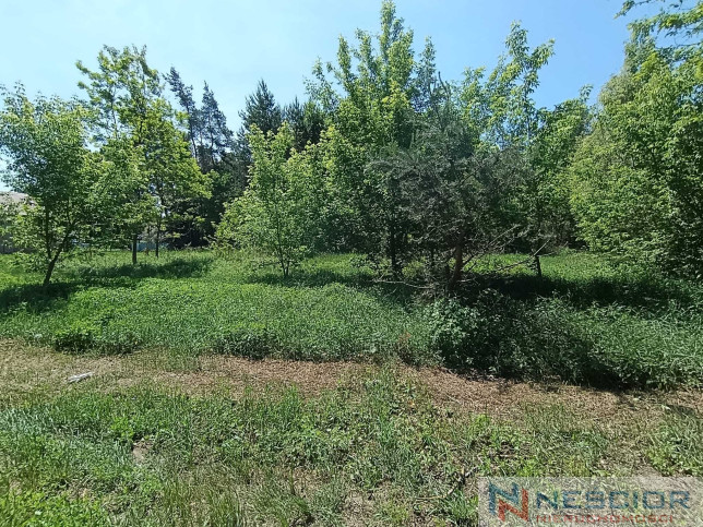 Plot Sale Gołąbek Osiedlowa 31