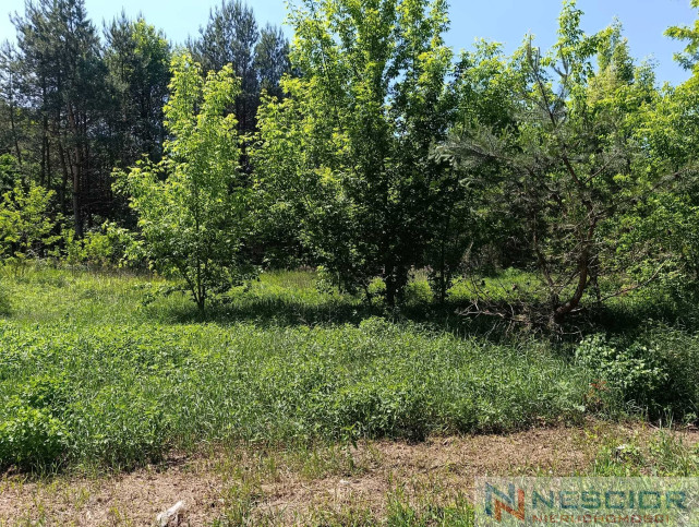 Plot Sale Gołąbek Osiedlowa 32