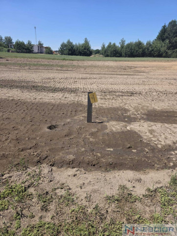 Plot Sale Dąbrówka-Wyłazy 4