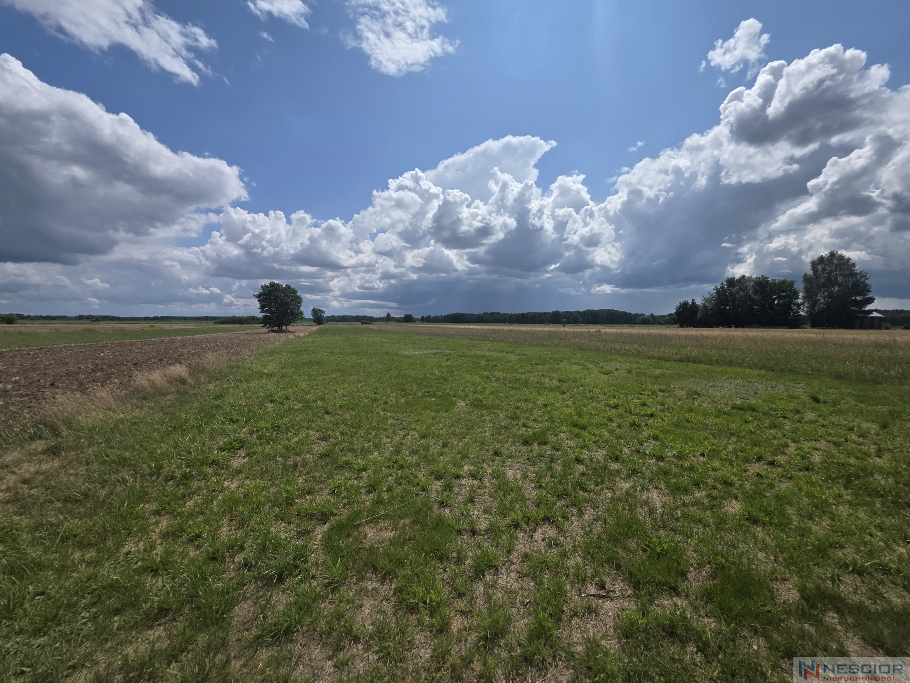 Участок Продажа Dobrzanów