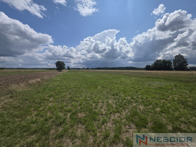 Участок Продажа Dobrzanów 5