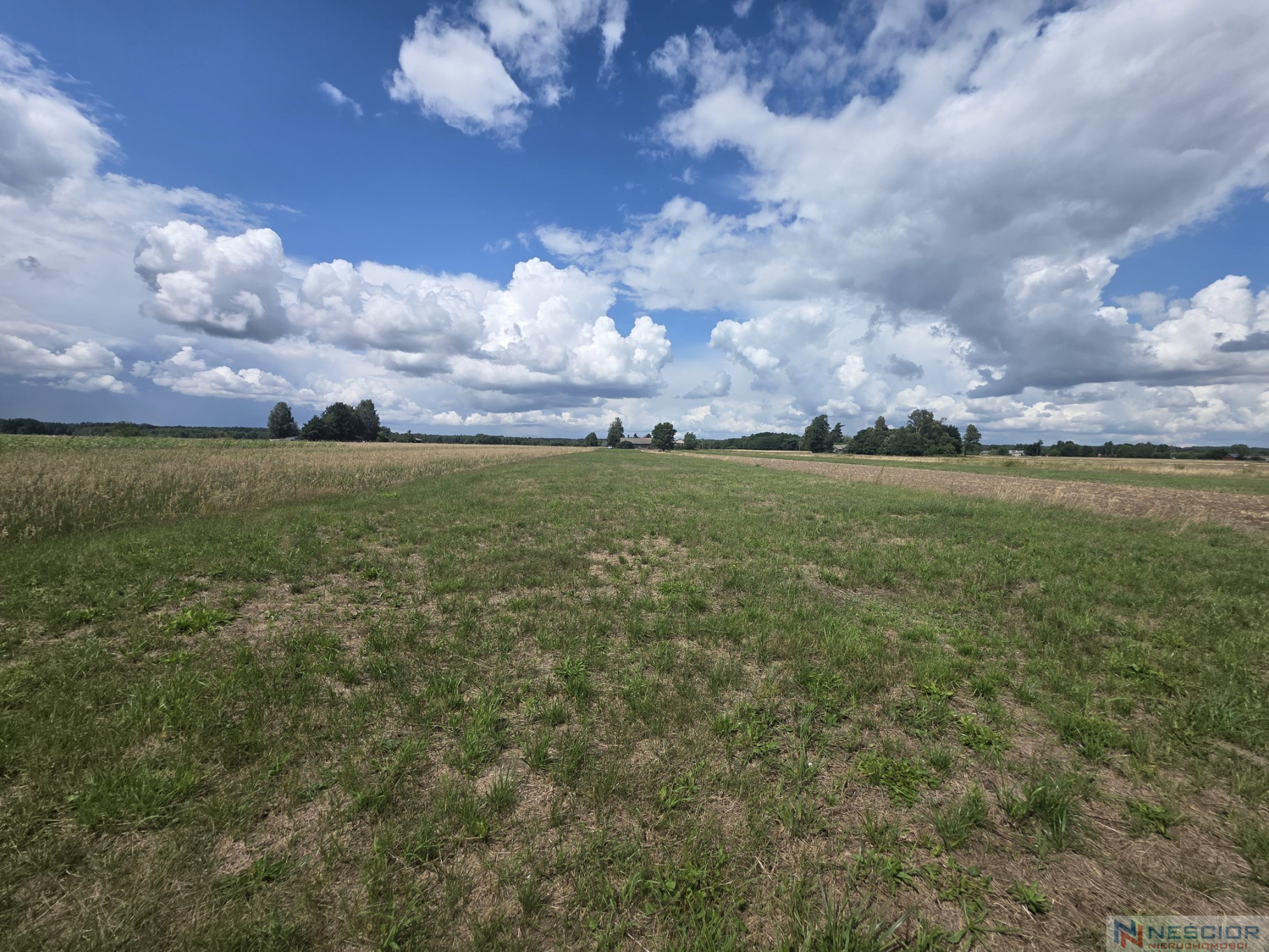 Участок Продажа Dobrzanów