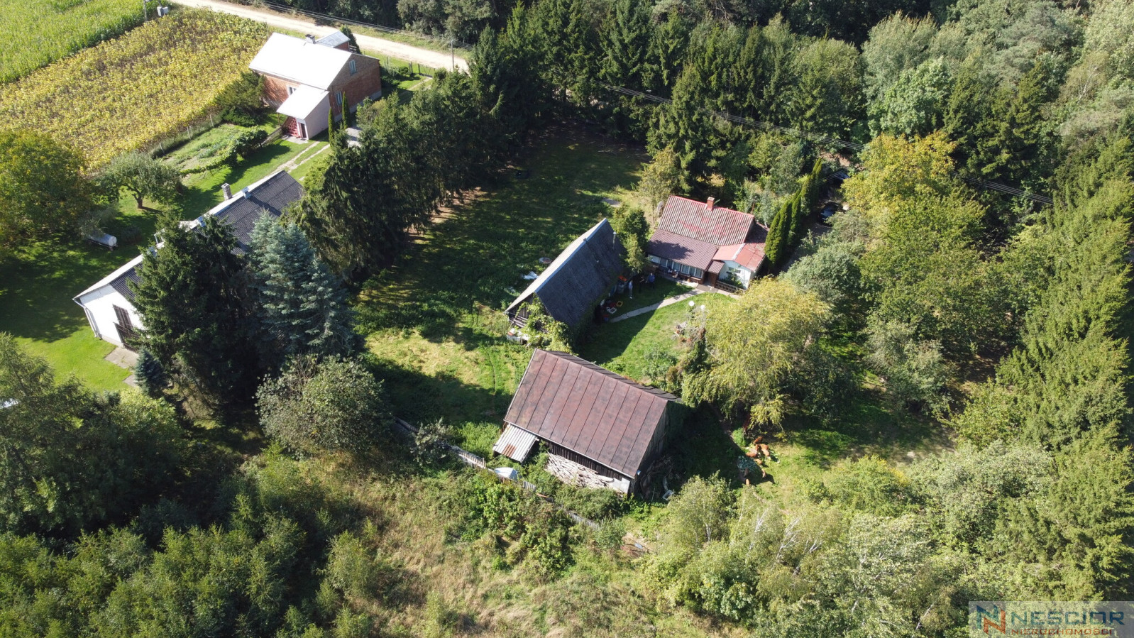 House Sale Dąbrowa