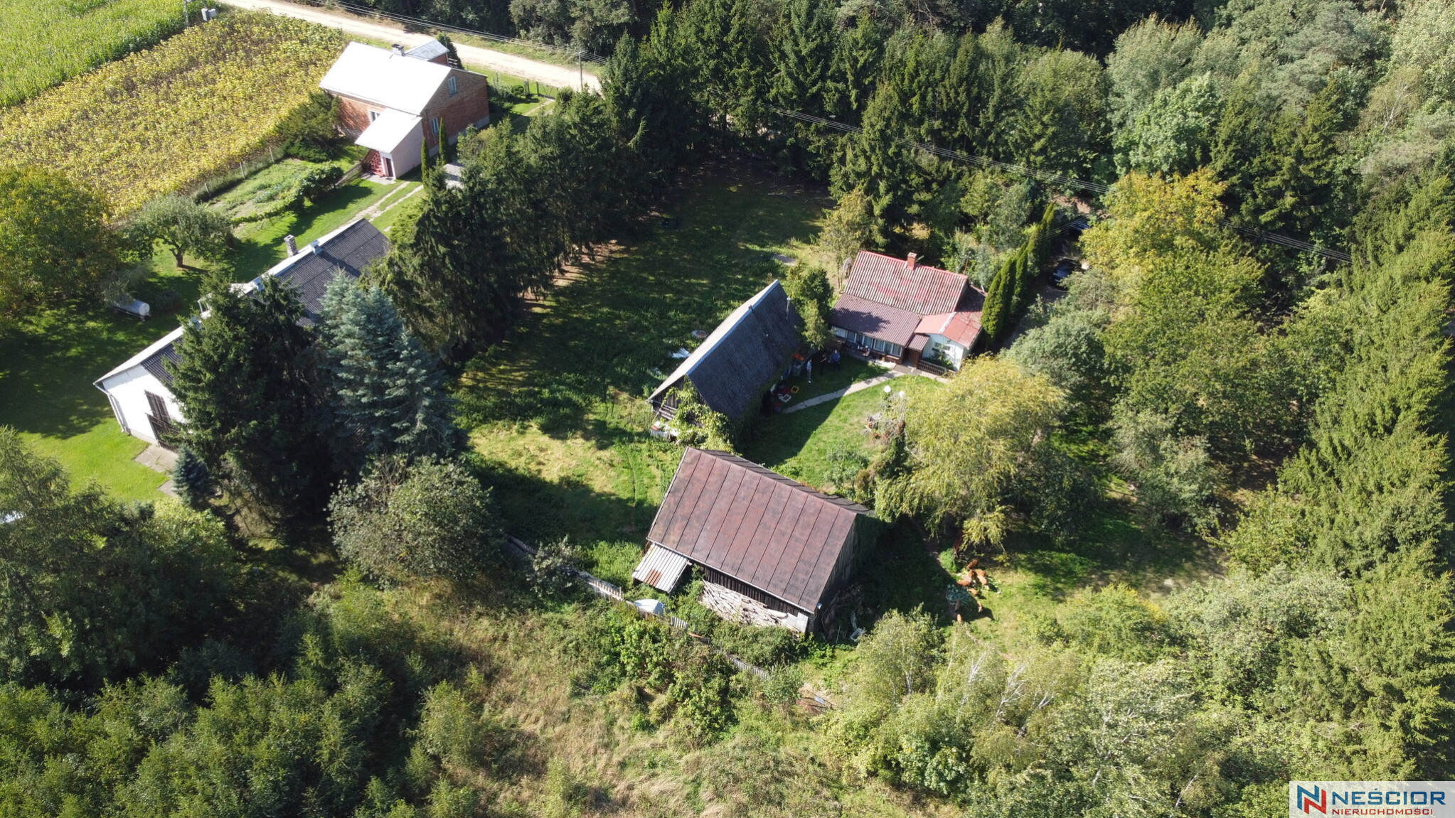 House Sale Dąbrowa